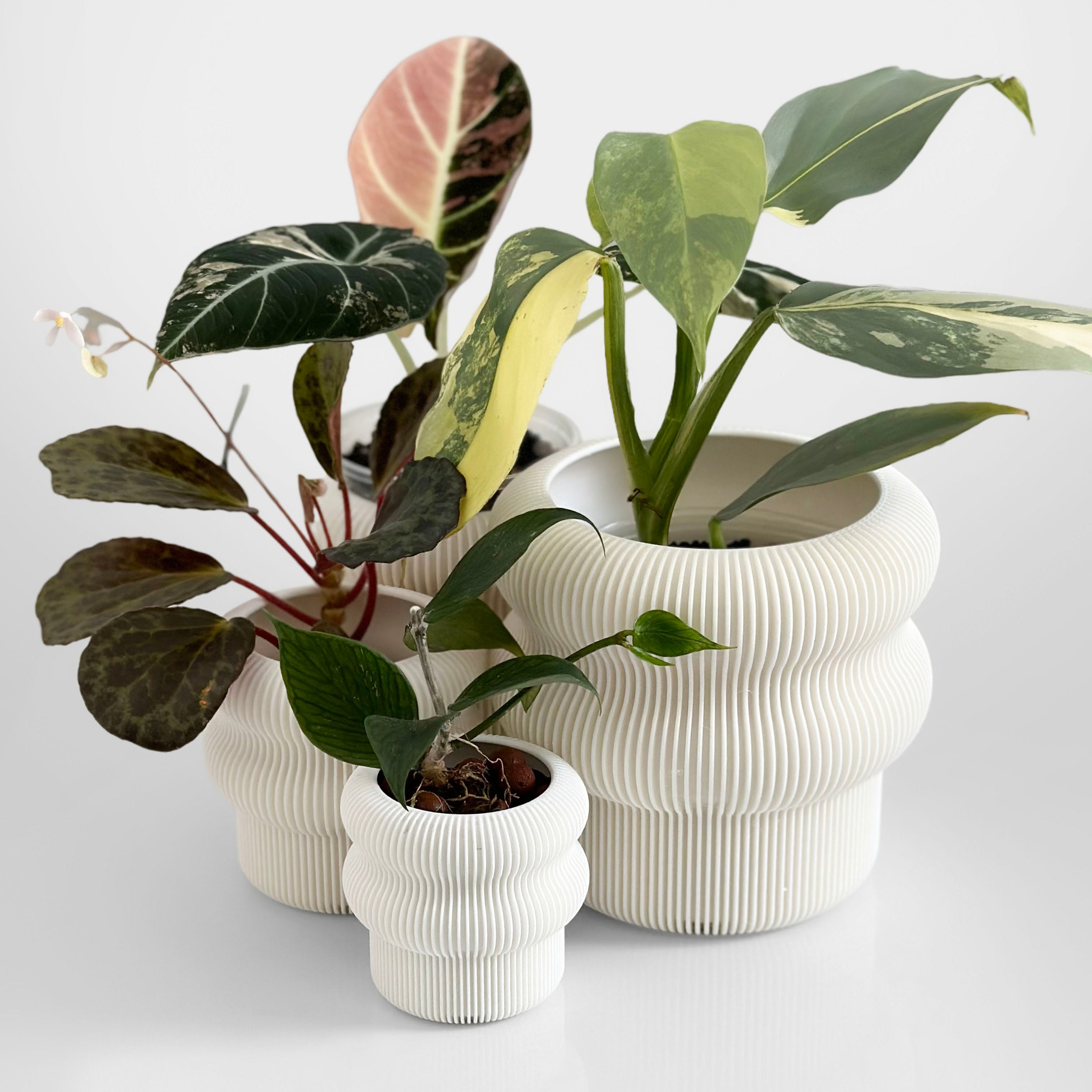 Contour Planter – DingPlants